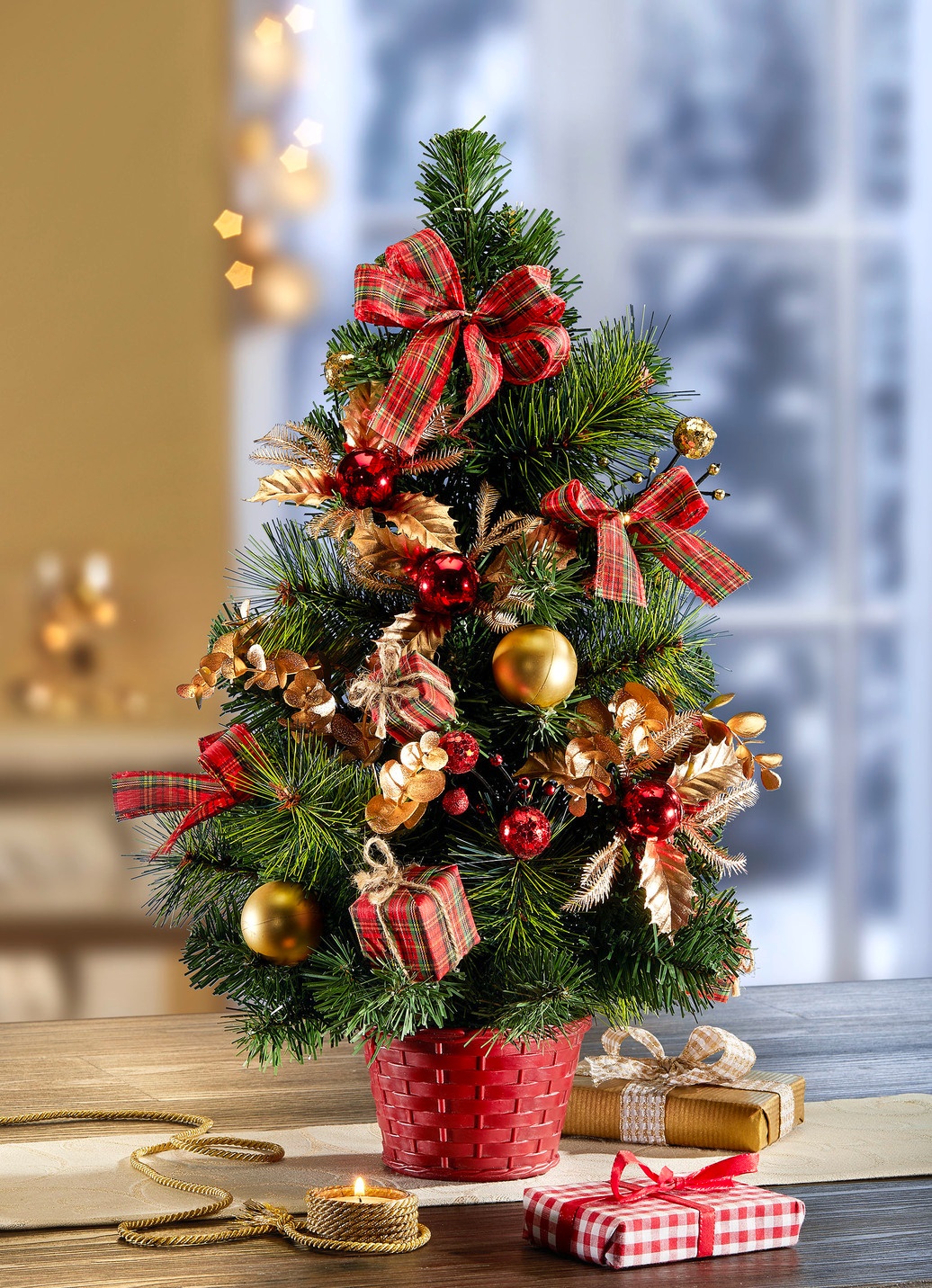 Weihnachtsbaum im Topf