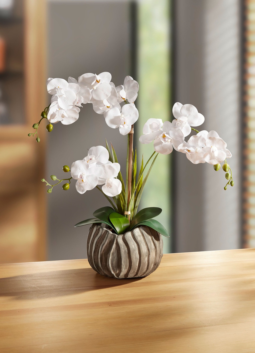 Orchidee in silberfarbenen Topf