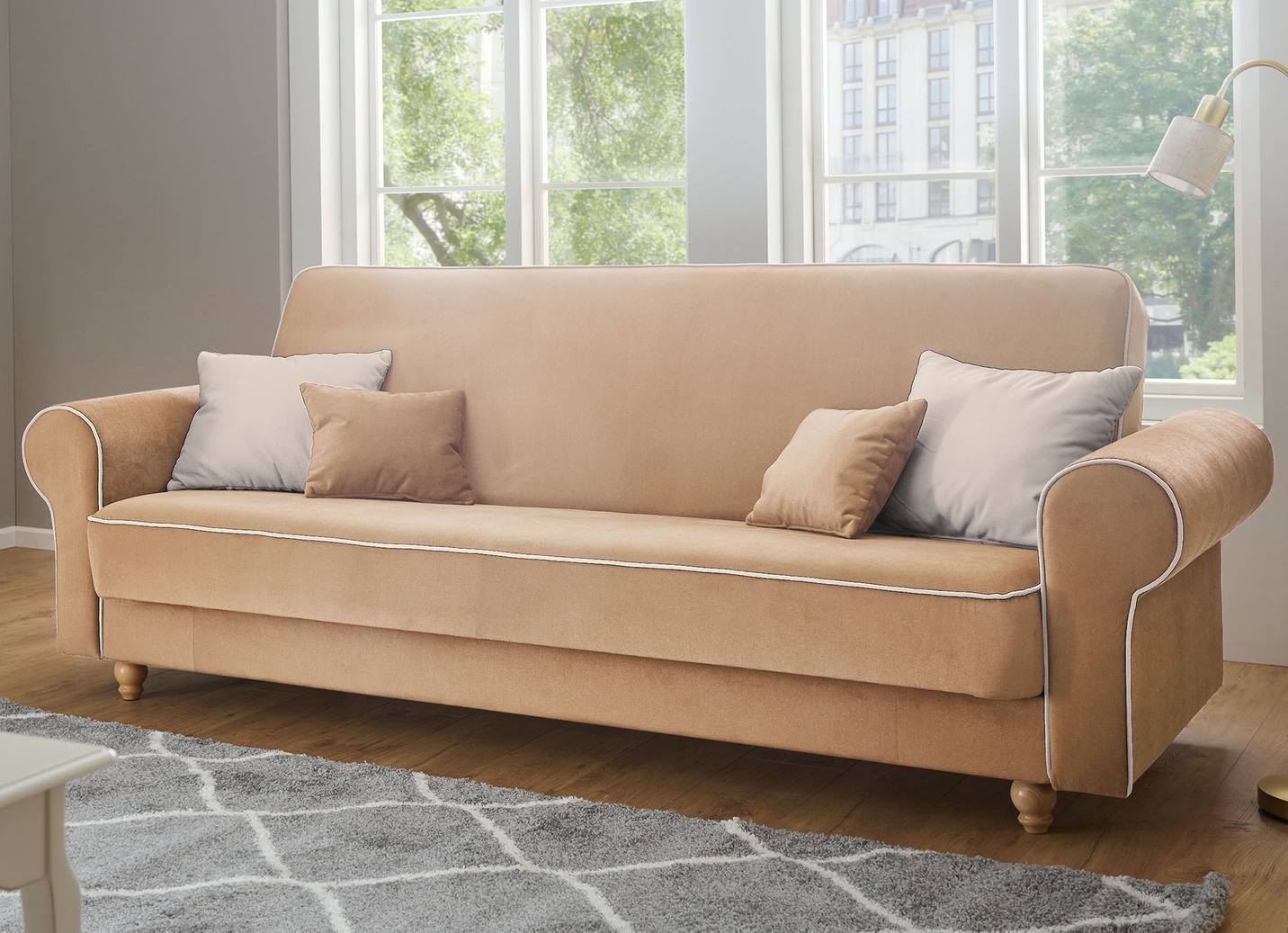 Stilvolles Schlafsofa