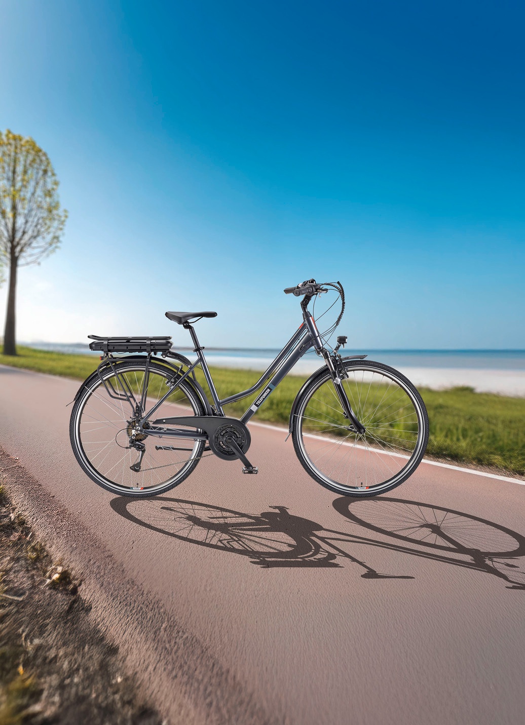 Trekking-E-Bike XT485 von Telefunken
