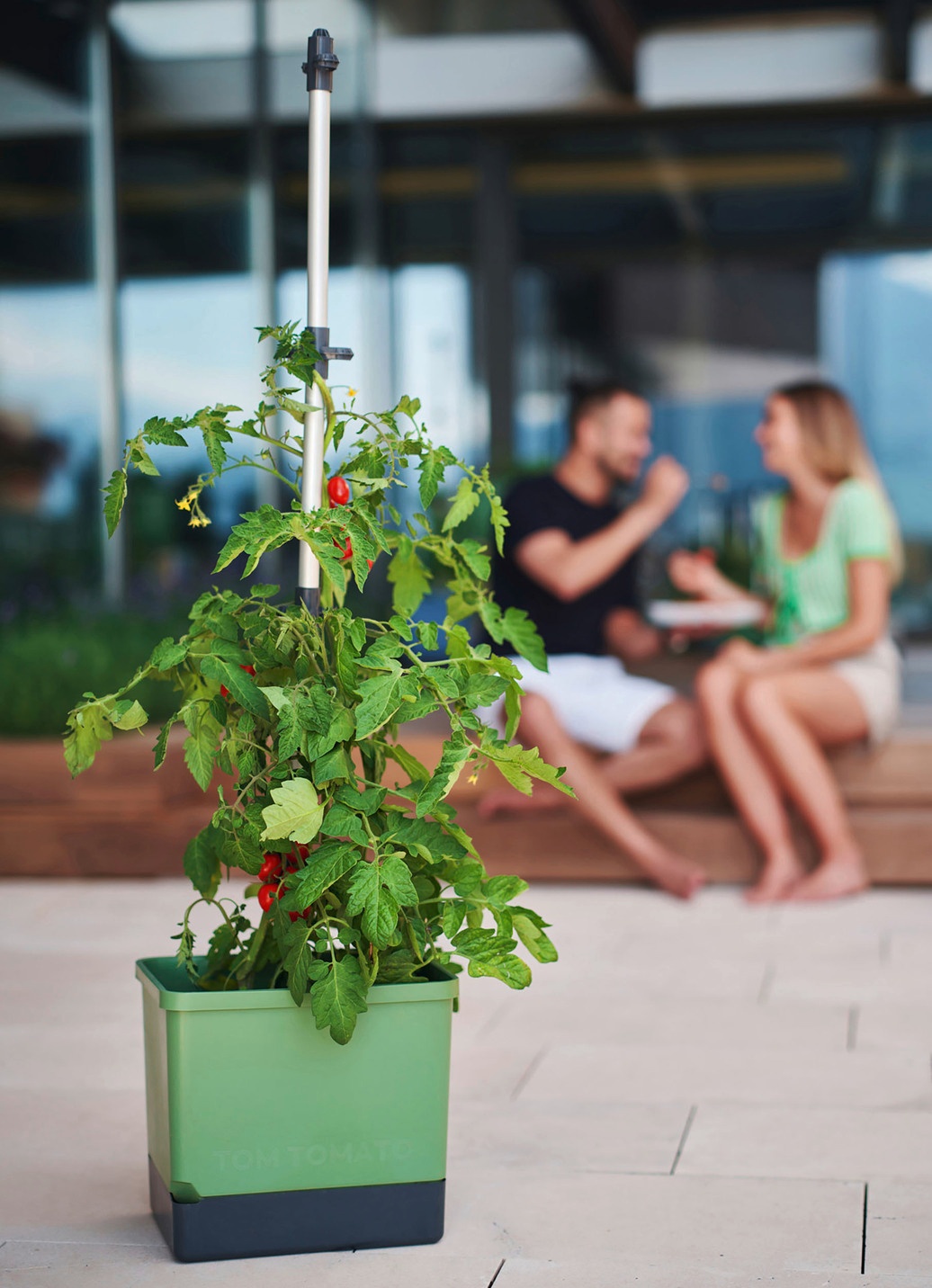 Gusta Garden Tom Tomato mit Bewässerungssystem