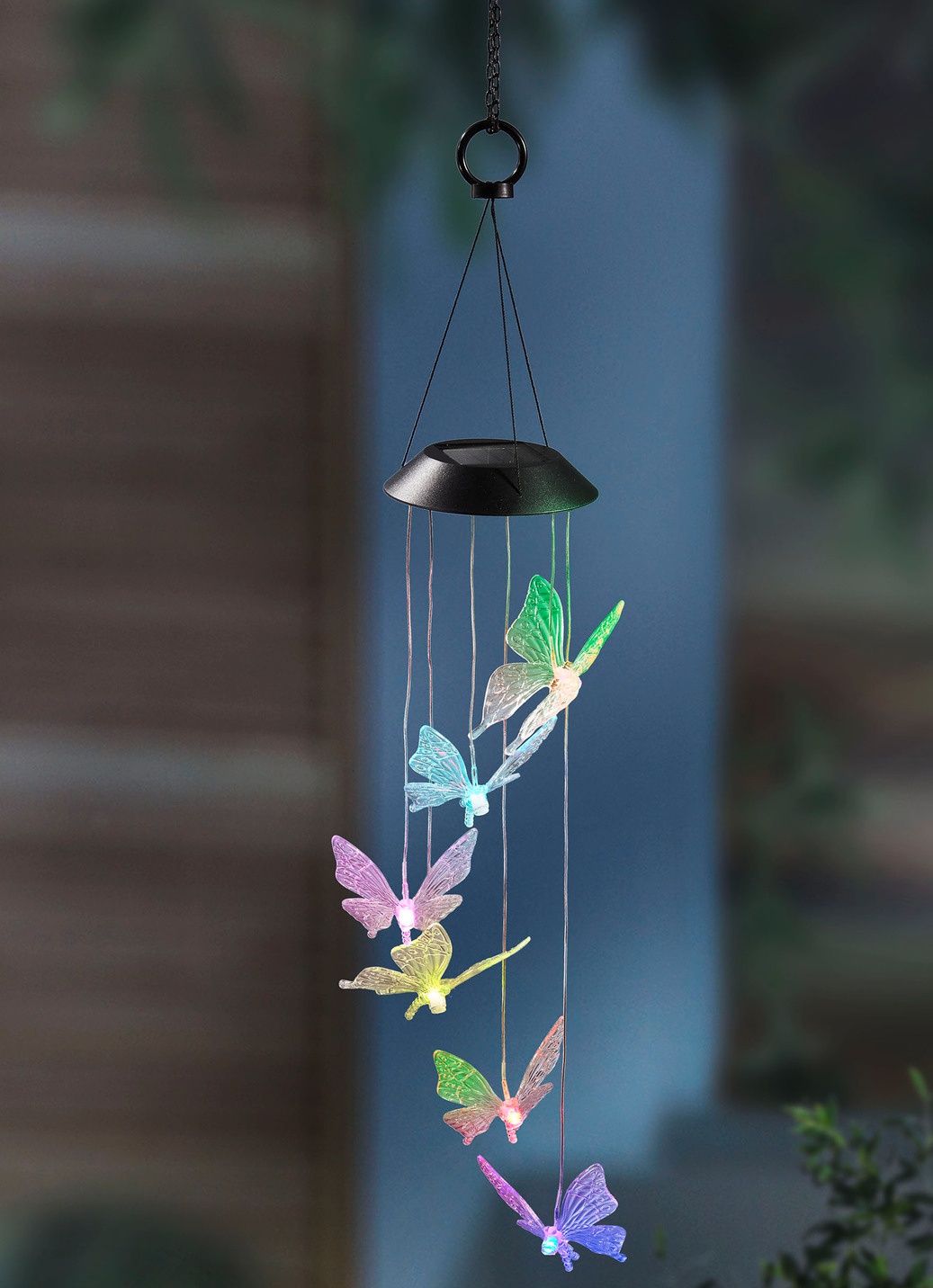 Solarwindspiel Schmetterling