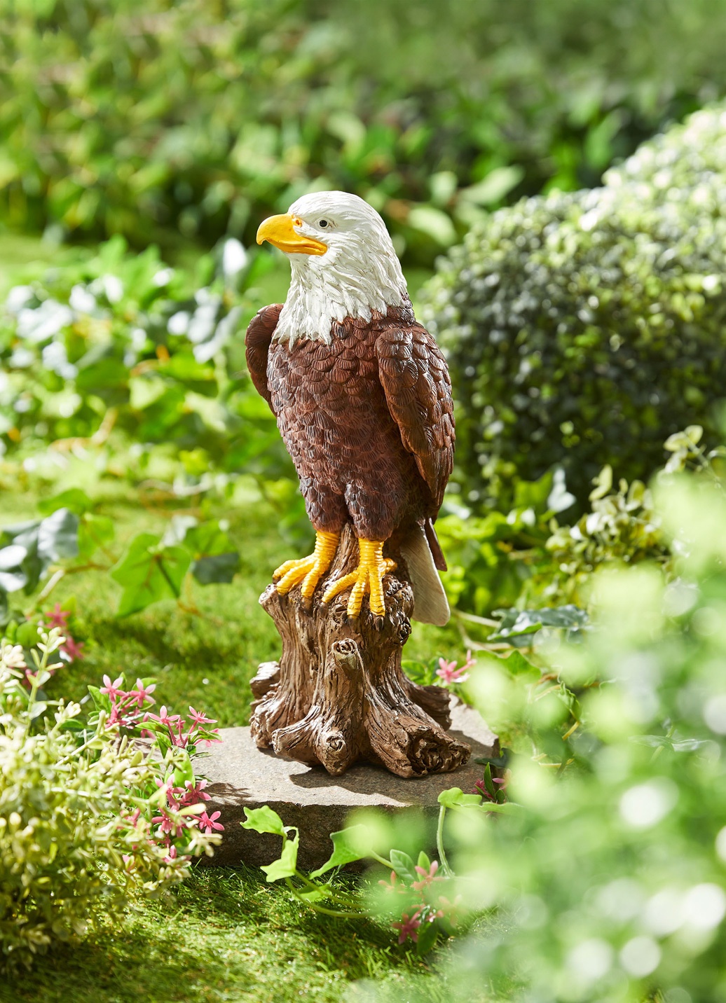 Weißkopf-Seeadler