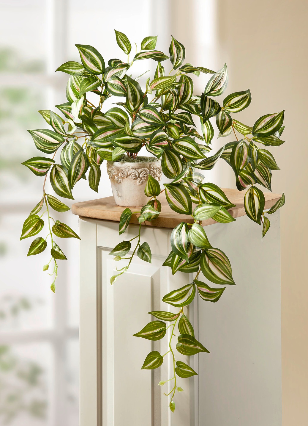 Naturgetreue Tradescantia-Ranke im Topf