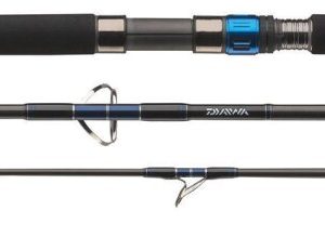 Daiwa SALTIGA AP C 80HS-AF 2.44m 30-120g Bootsrute Daiwa SALTIGA AP C 80HS-AF 2.44m 30-120g Bootsrute