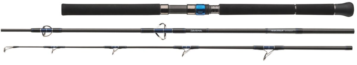 Daiwa SALTIGA AP C 80HS-AF 2.44m 30-120g Bootsrute