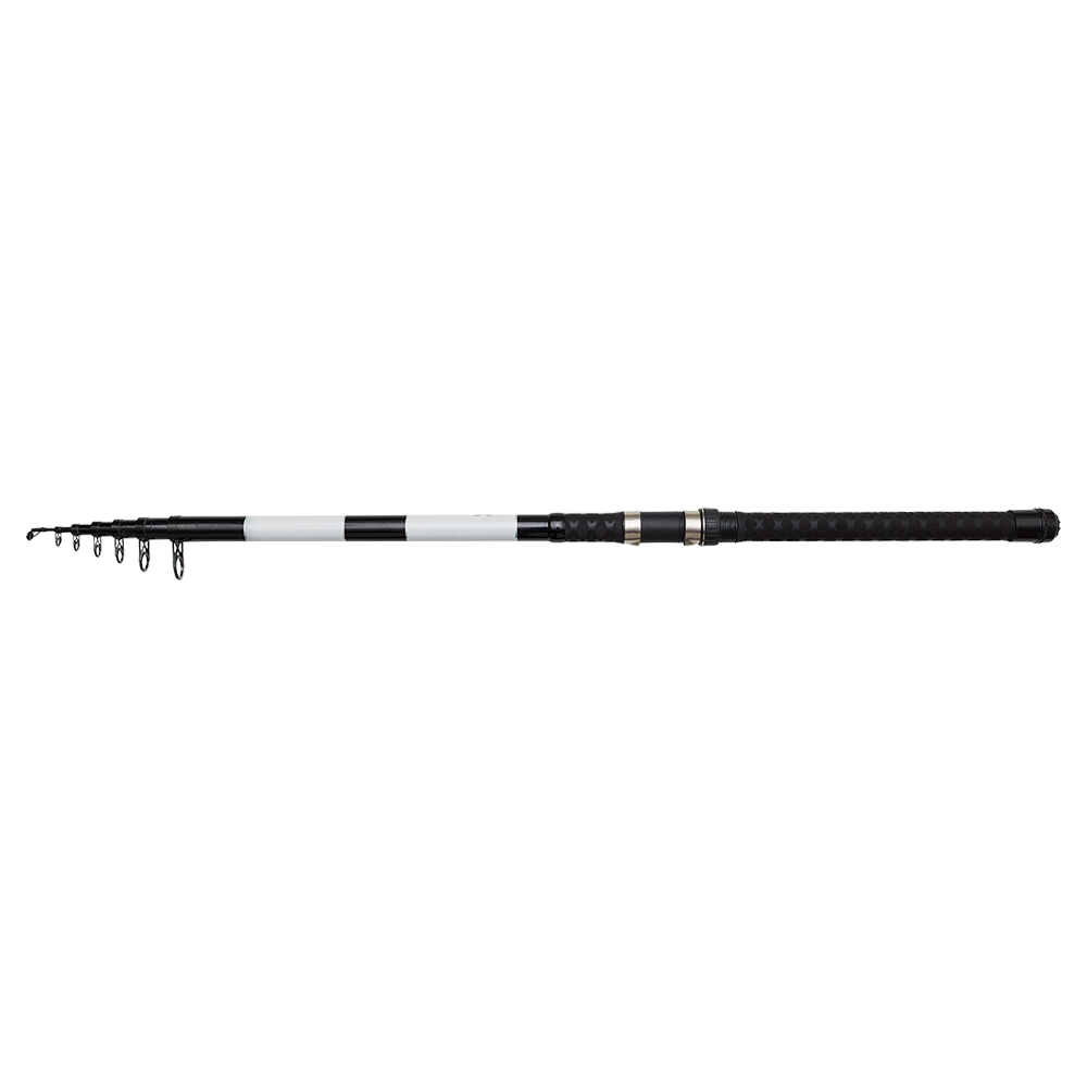 DAM Base-X Tele Stellfisch 19’8“ / 6,00m 50-100g Stellfischrute Köderfischrute