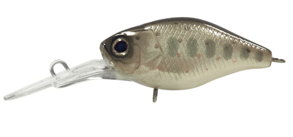 Illex DIVING CHUBBY 38 TRUITELLE
