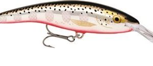 Rapala Deep Tail Dancer 11cm SFL Silver Flash RAPTDD11