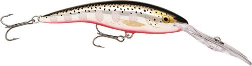 Rapala Deep Tail Dancer 11cm SFL Silver Flash RAPTDD11