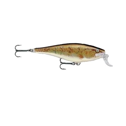 Rapala Super Shad Rap 14cm 45g W Walleye Hecht Wobbler